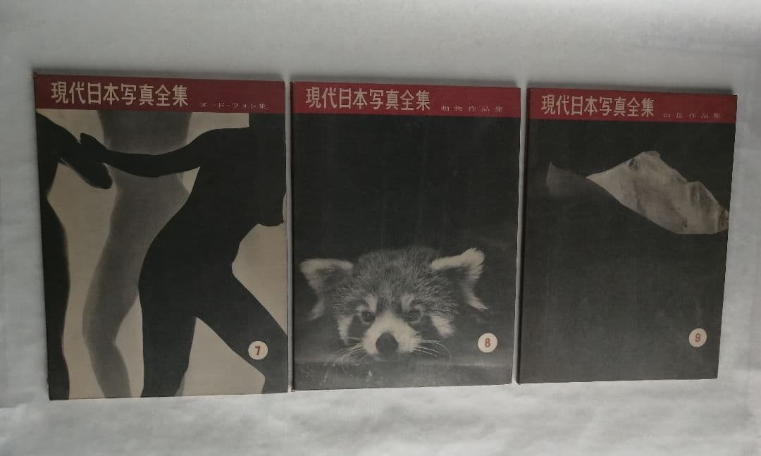 『現代日本写真全集』創元社　全9冊セット