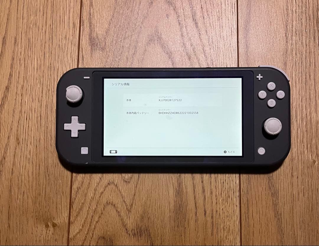 Nintendo switch Lite 本体のみ ニンテンドースイッチライト