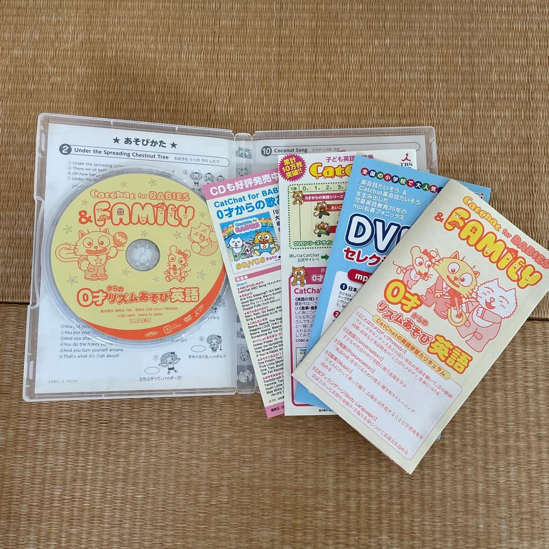 Cat Chat DVD 8枚セット