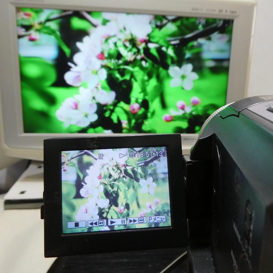 ソニー DCR-PC300【動作良好】MiniDVビデオカメラ　ダビングに最適
