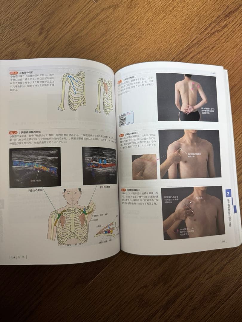 運動療法のための機能解剖学的触診技術 動画プラス　上肢・下肢体幹