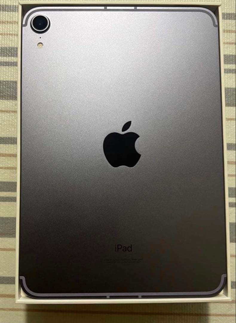 SIMフリー iPad mini（第6世代） 256GB mini6