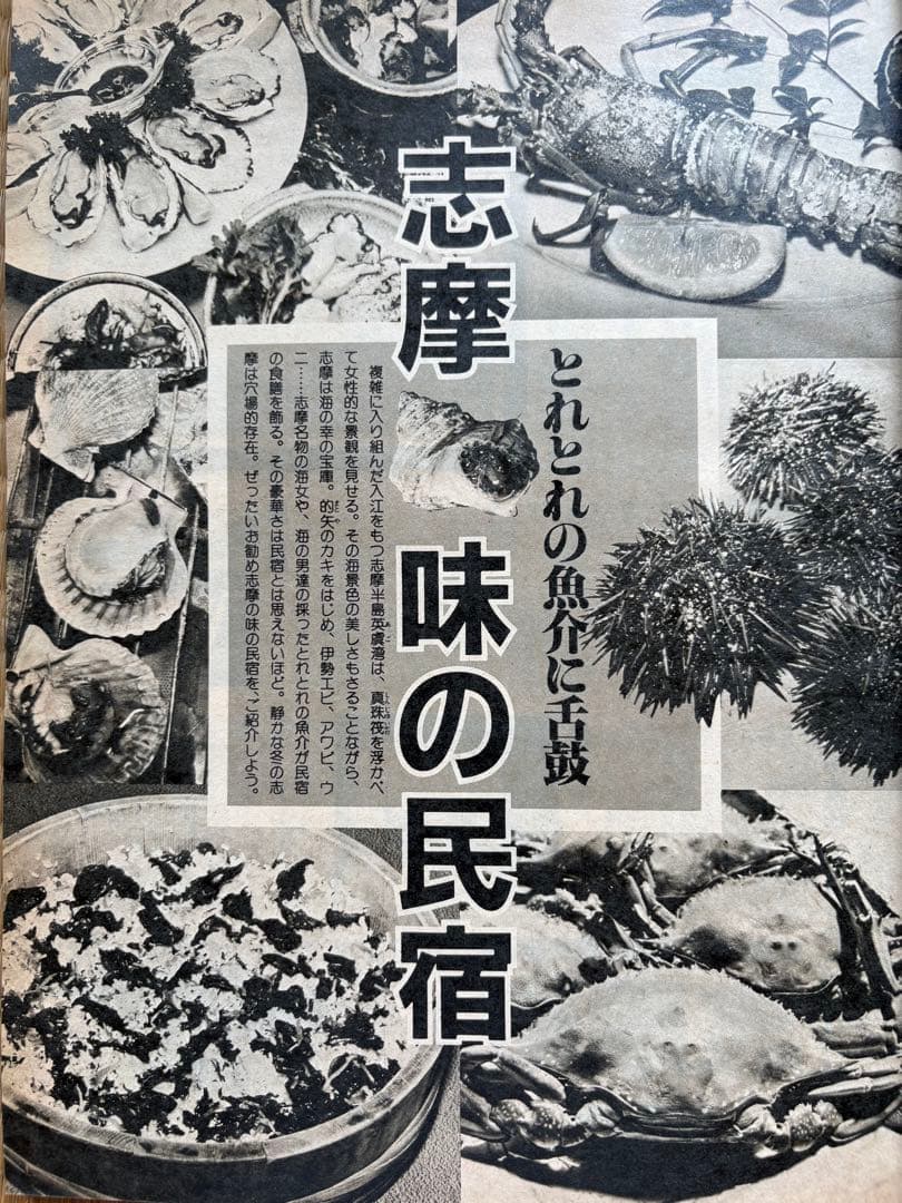 るるぶ ホテル・旅館 ・ペンション・民宿・公共の宿　1983年