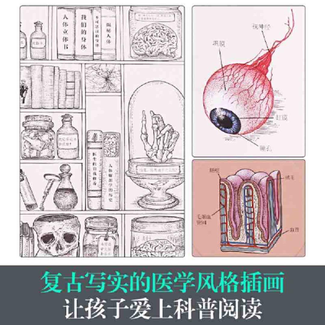 人体立体书 解剖探索身体运转奥秘(我们的身体高阶版)百科书  中文书