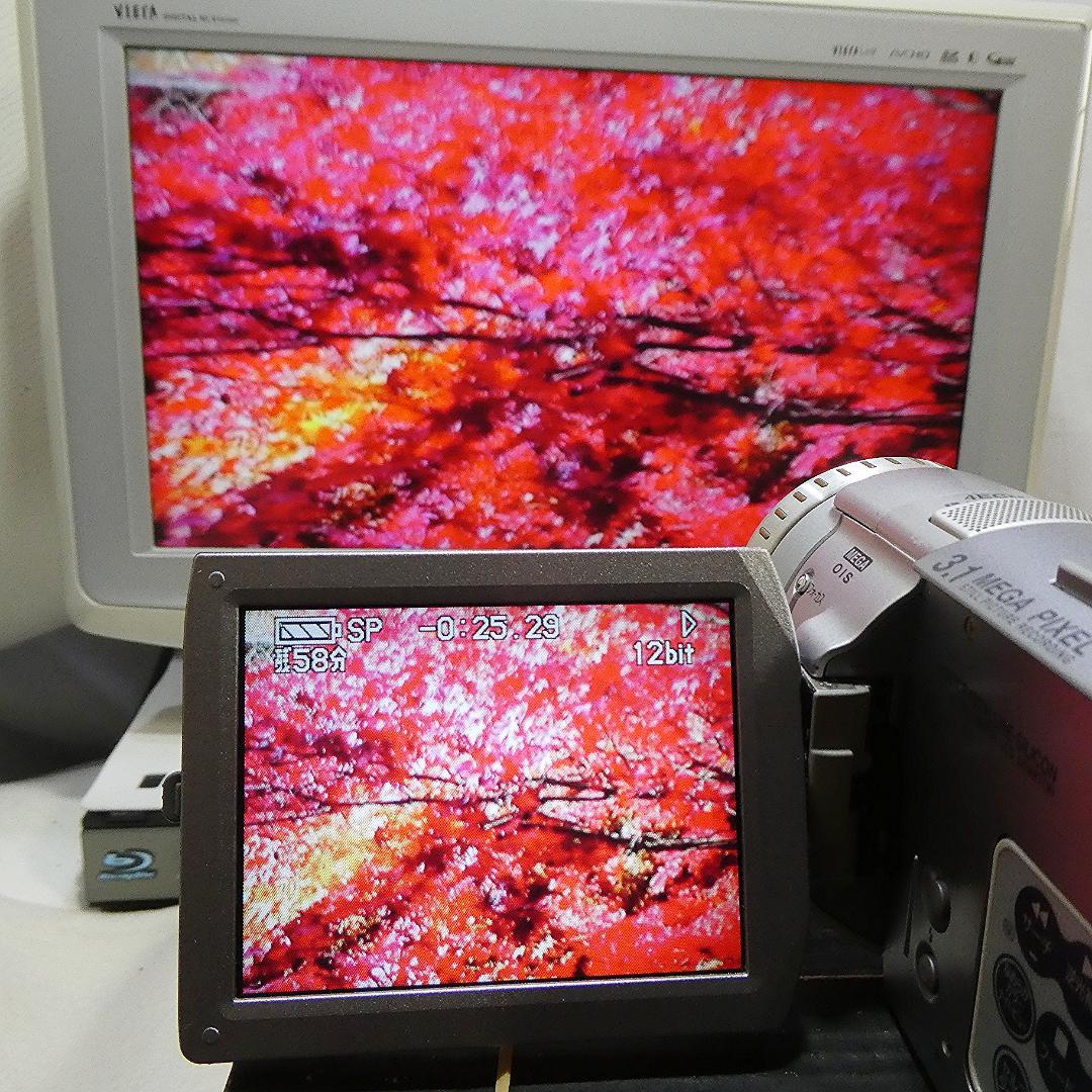 パナソニック NV-GS100【動作良好】 MiniDVビデオ　ダビングに最適