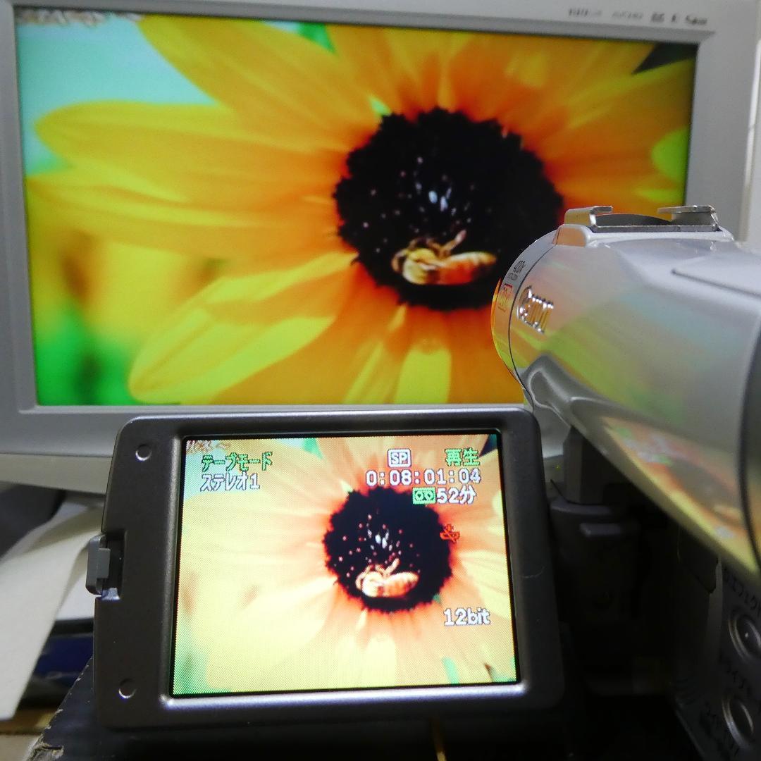 キャノン DM-FV M200 動作良好 MiniDVビデオ DVDダビングに