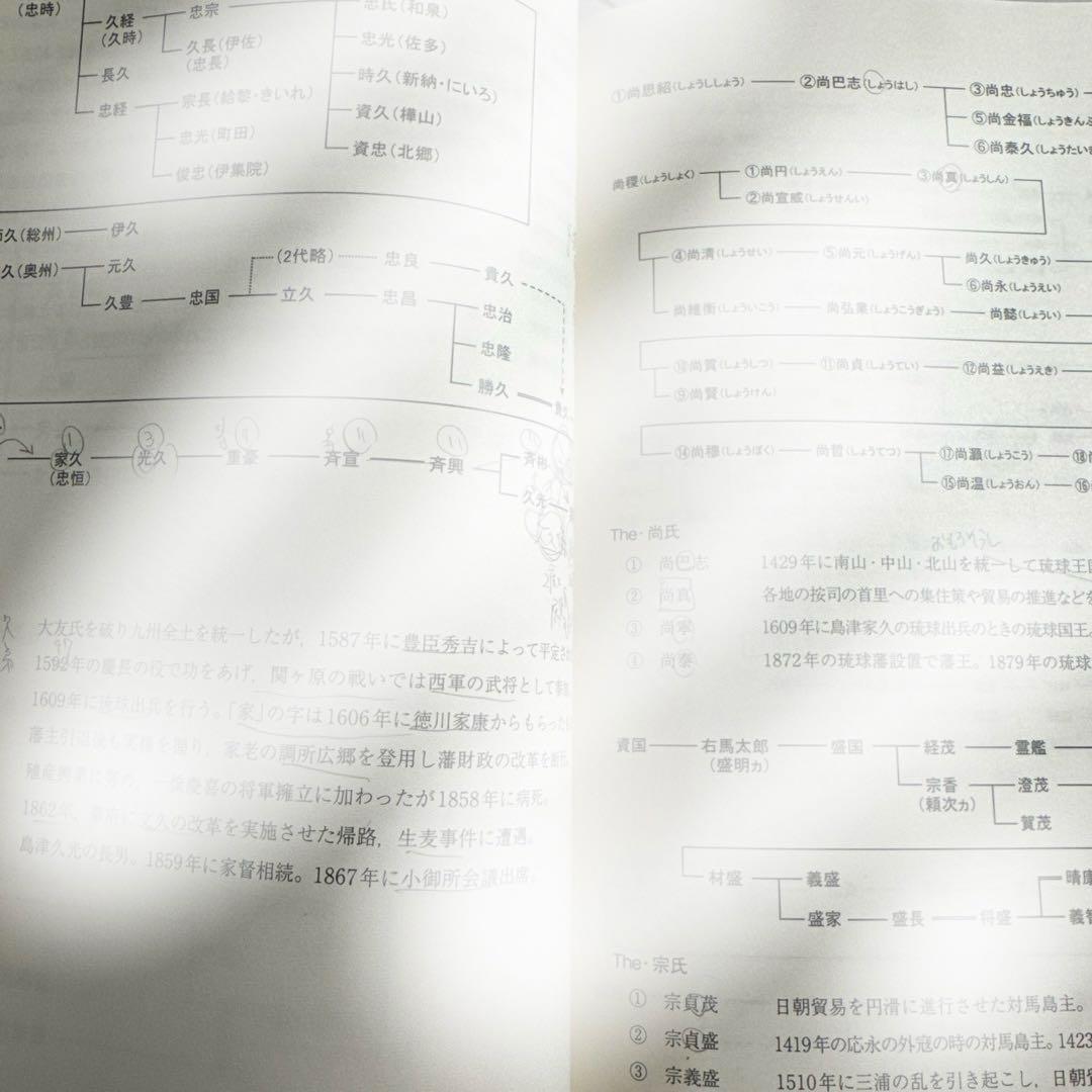 駿台ビジュアル整理系日本史!!