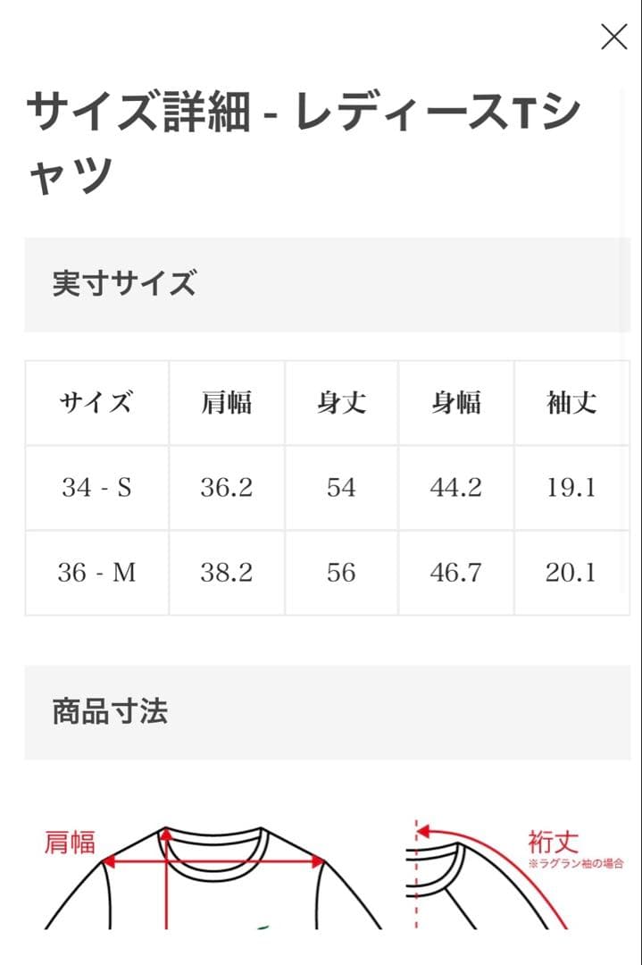 選べるカラー　ラコステ　LACOSTE 半袖Tシャツ 36