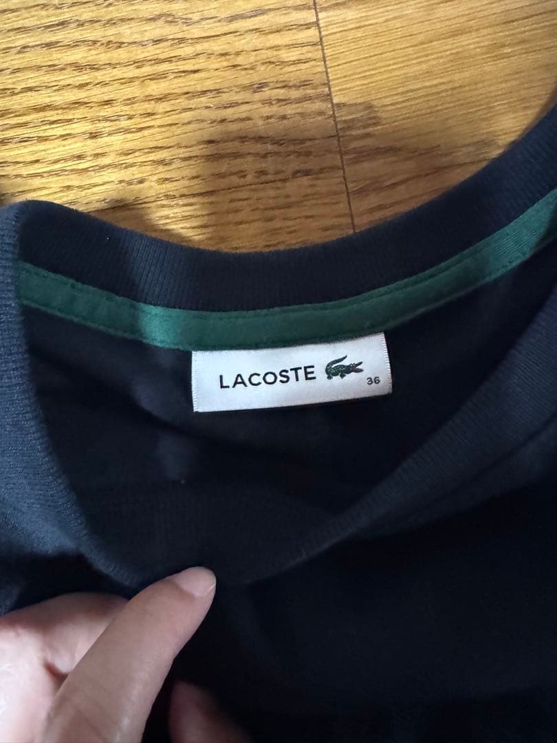 選べるカラー　ラコステ　LACOSTE 半袖Tシャツ 36