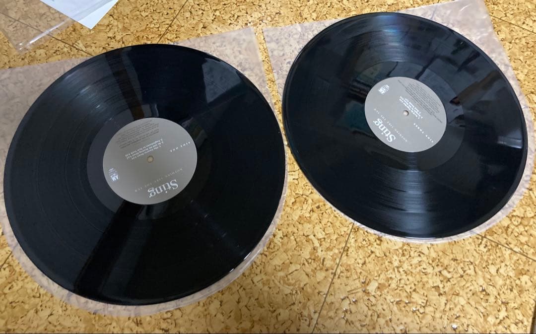値引き！Sting Nothing Like The Sun 2枚組レコード