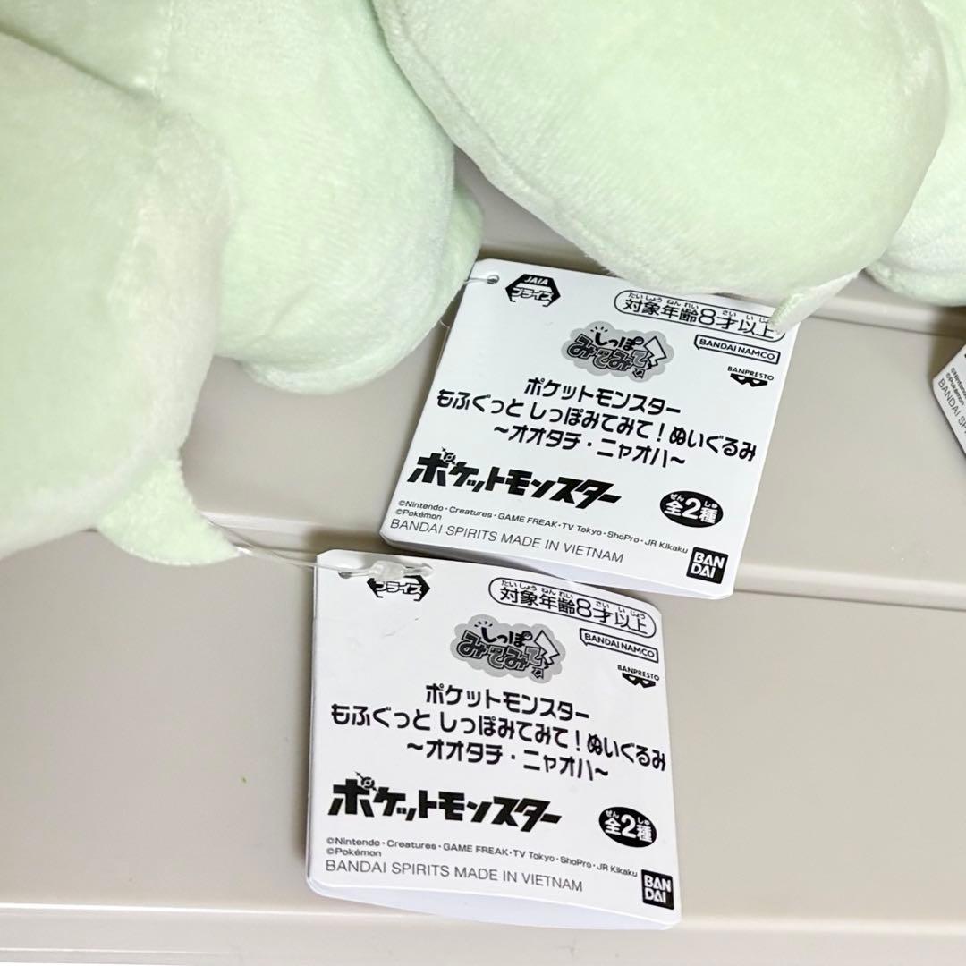 【即日発送！圧縮なし】 ポケモン ぬいぐるみ ニャオハ 6体セット！