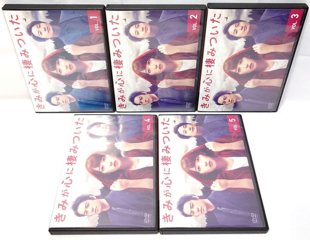 きみが心に棲みついた【DVD】全5巻セット