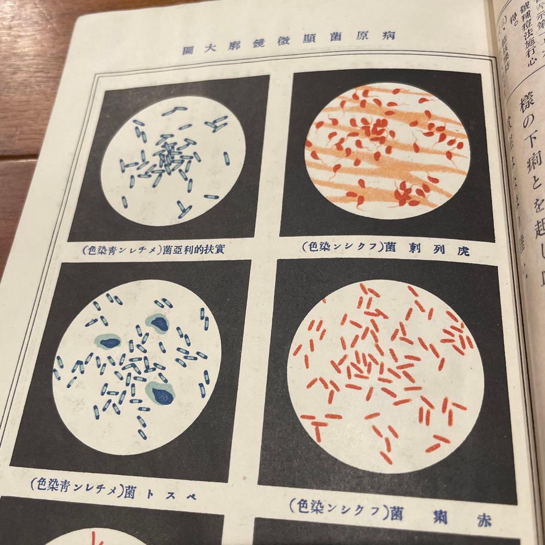 戦前 文部省検定 『家事新教科書 上下巻』 高等女学校 昭和初期