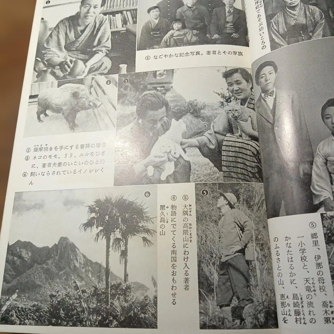 椋鳩十集　新日本少年少女文学全集