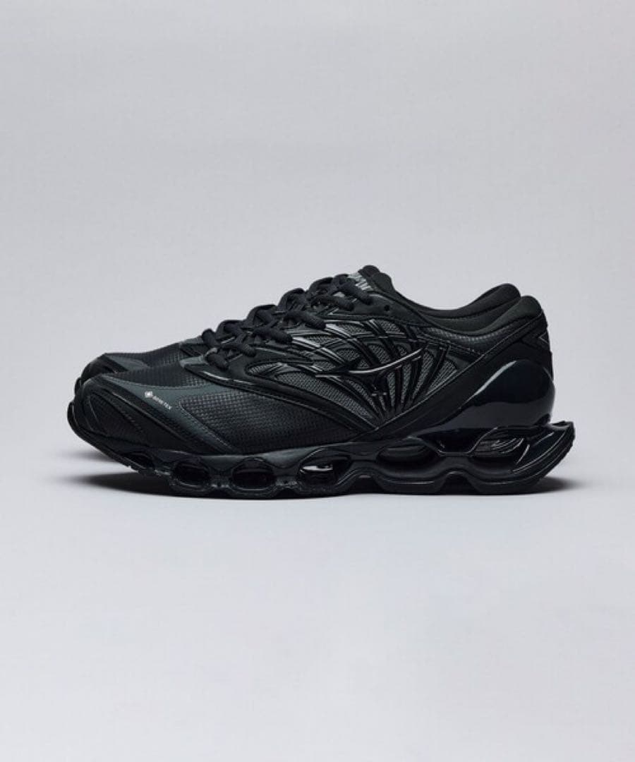 【新品未使用】MIZUNO WAVE PROPHECY GTX 29.0