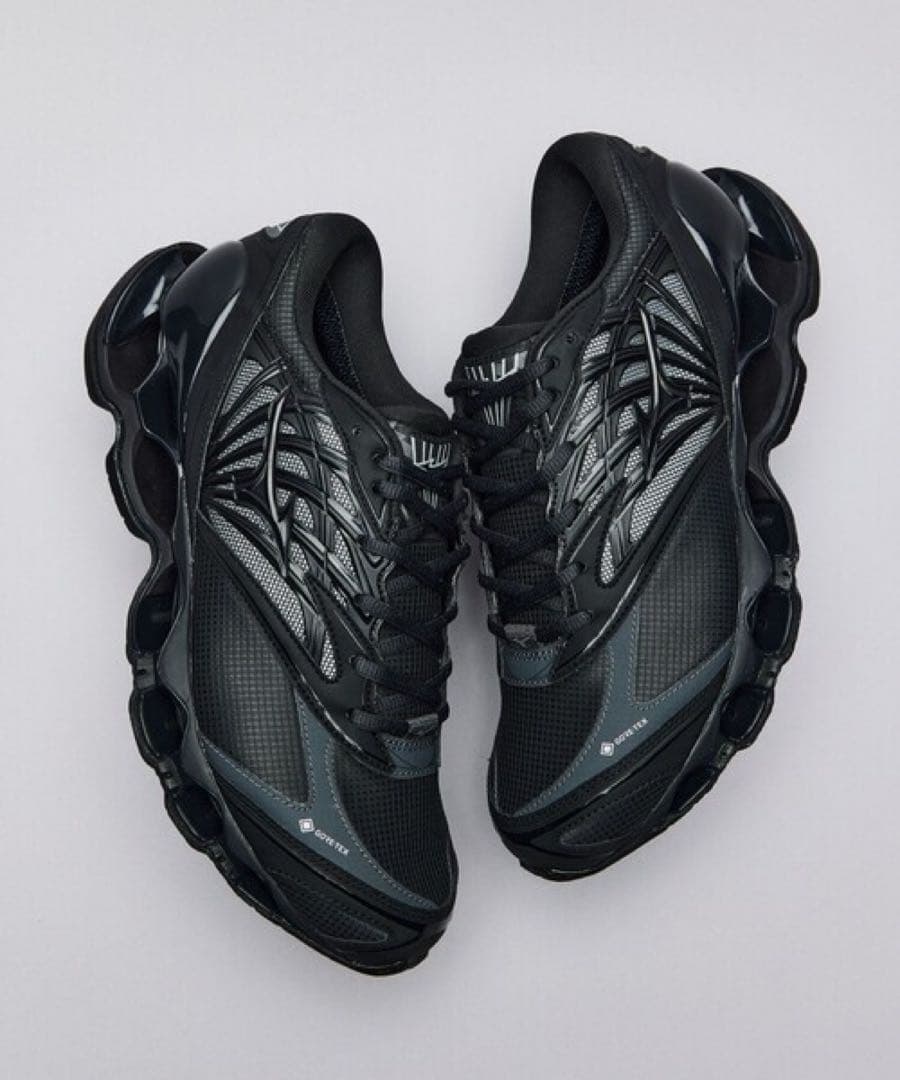 【新品未使用】MIZUNO WAVE PROPHECY GTX 29.0