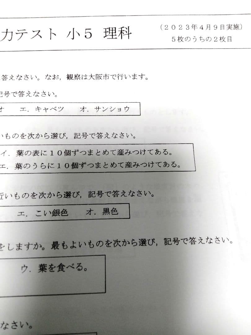 浜学園小5 公開学力テスト 2023年2024年 4科目2年分