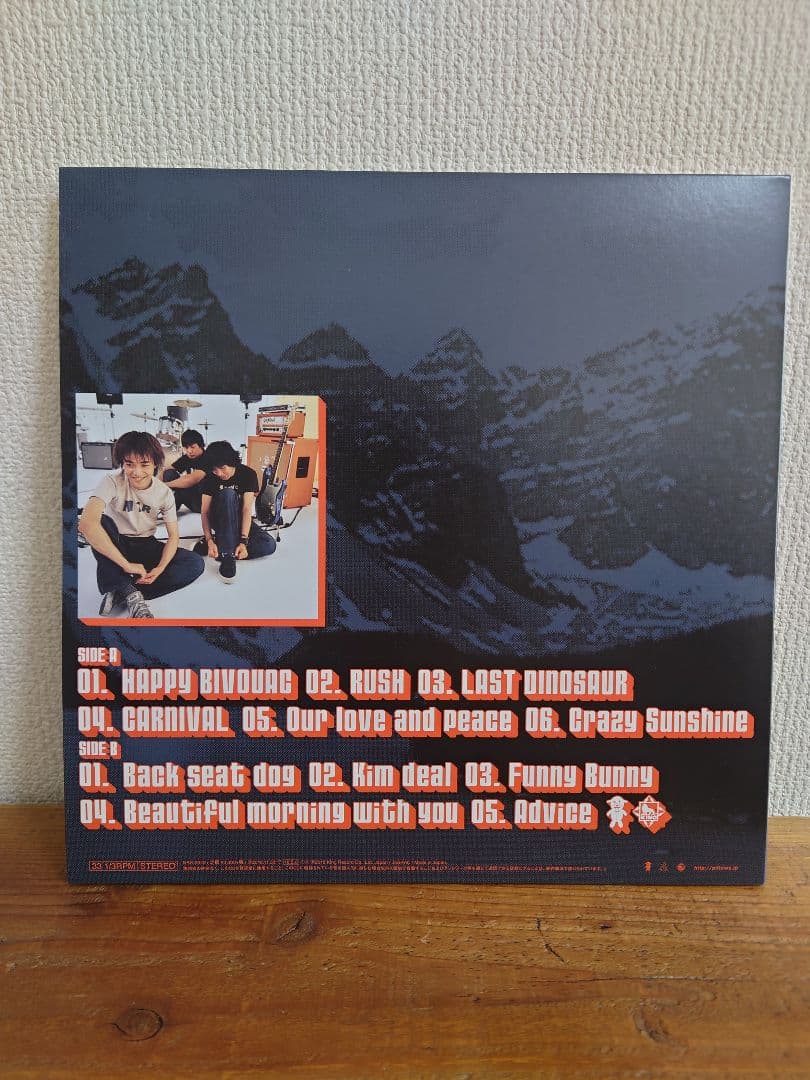 the pillows 　HAPPY BIVOUAC　LP　レコード
