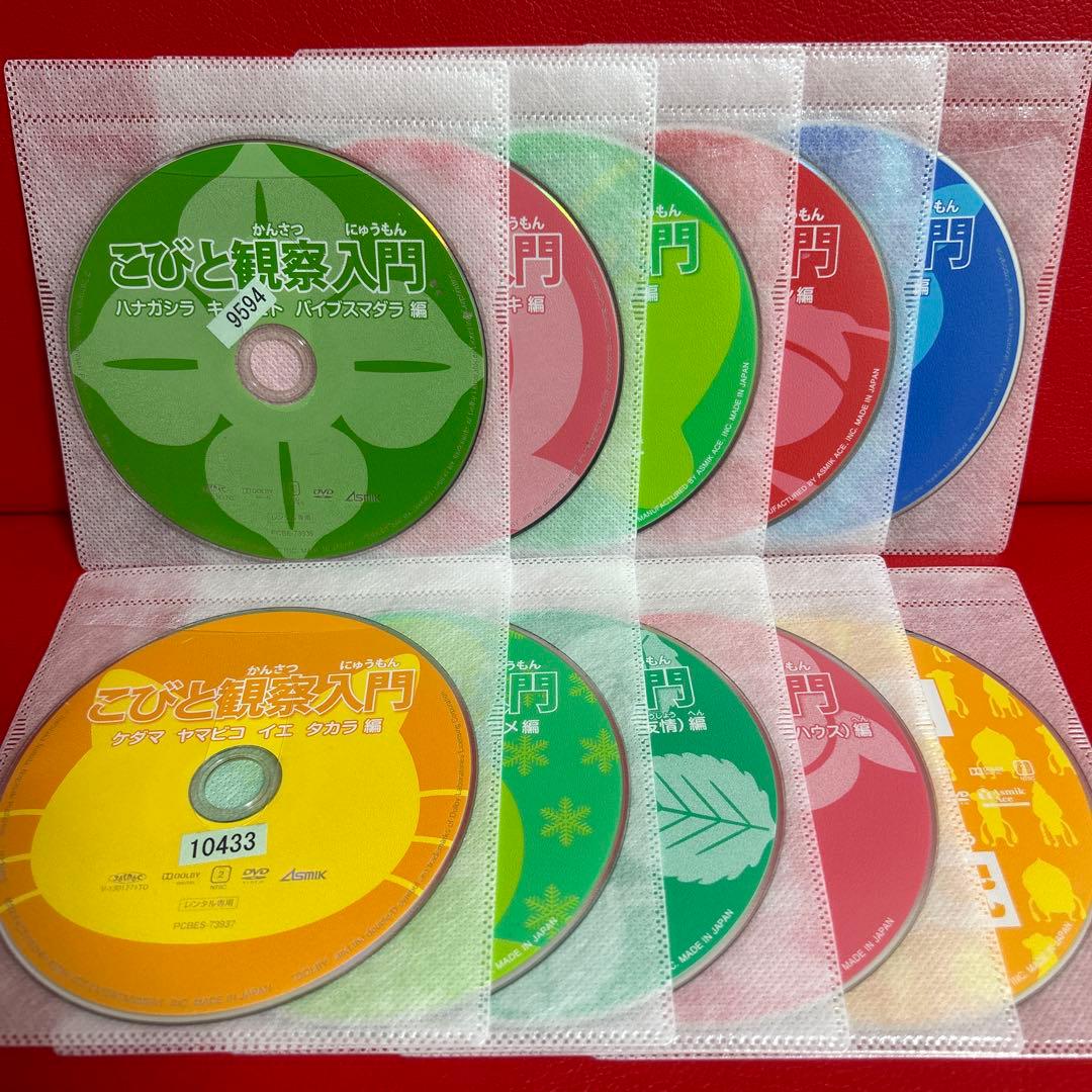 こびとづかん　こびと観察入門　こびと大研究　DVD　全巻セット　全10巻