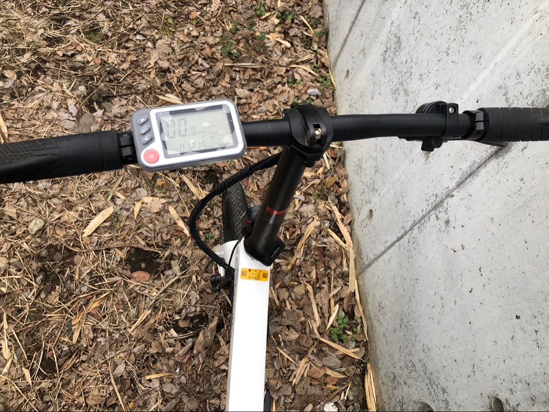 ENTREX 電動アシスト自転車 ホワイト メンテナンス前提