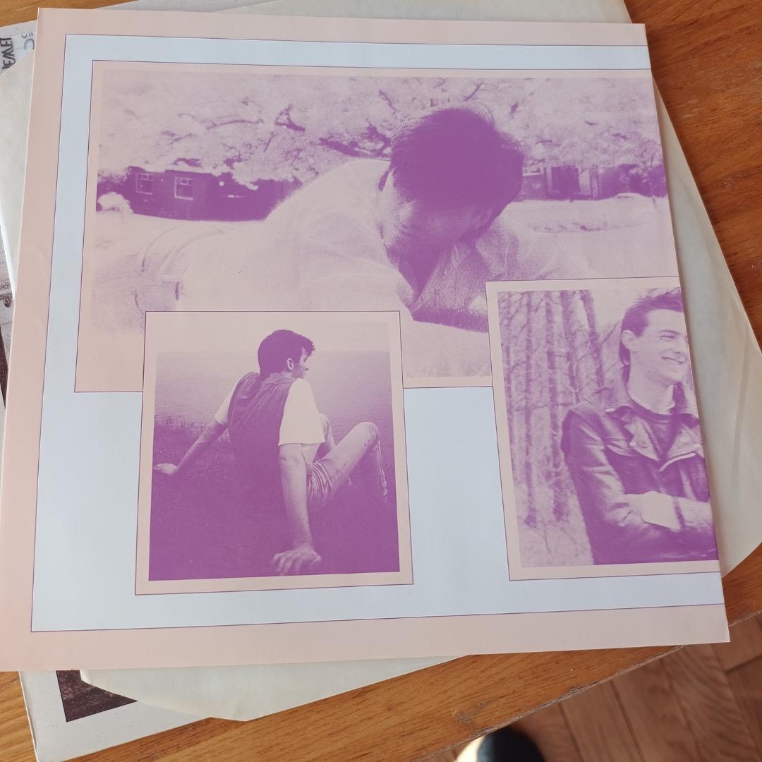 Script Of The Bridge（LP)/The Chameleons
