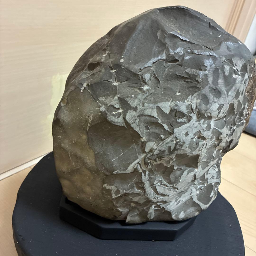 珍品 北海道産 美模様 アンモナイト化石 黒色台座付き