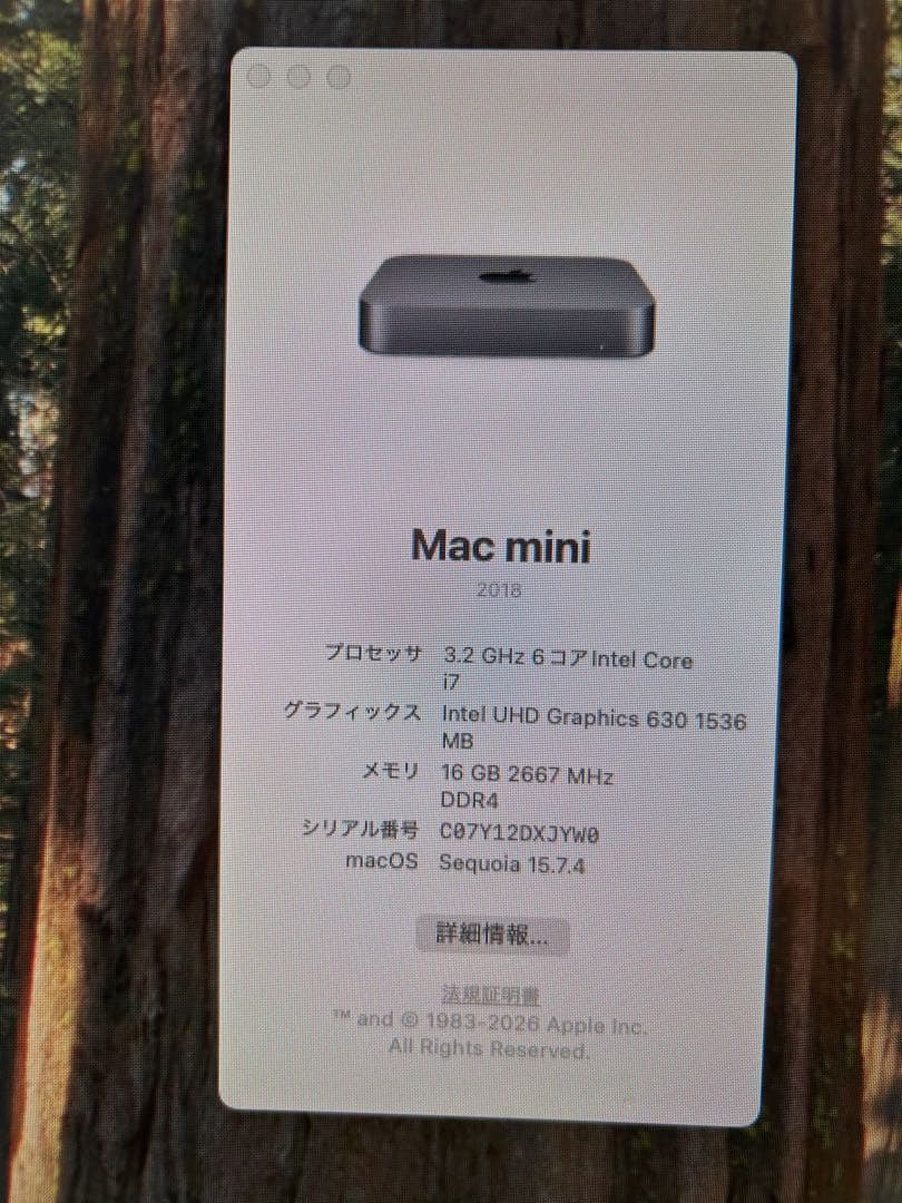 Macデスクトップ Mac mini 2018 (i7/1TB/16GB)