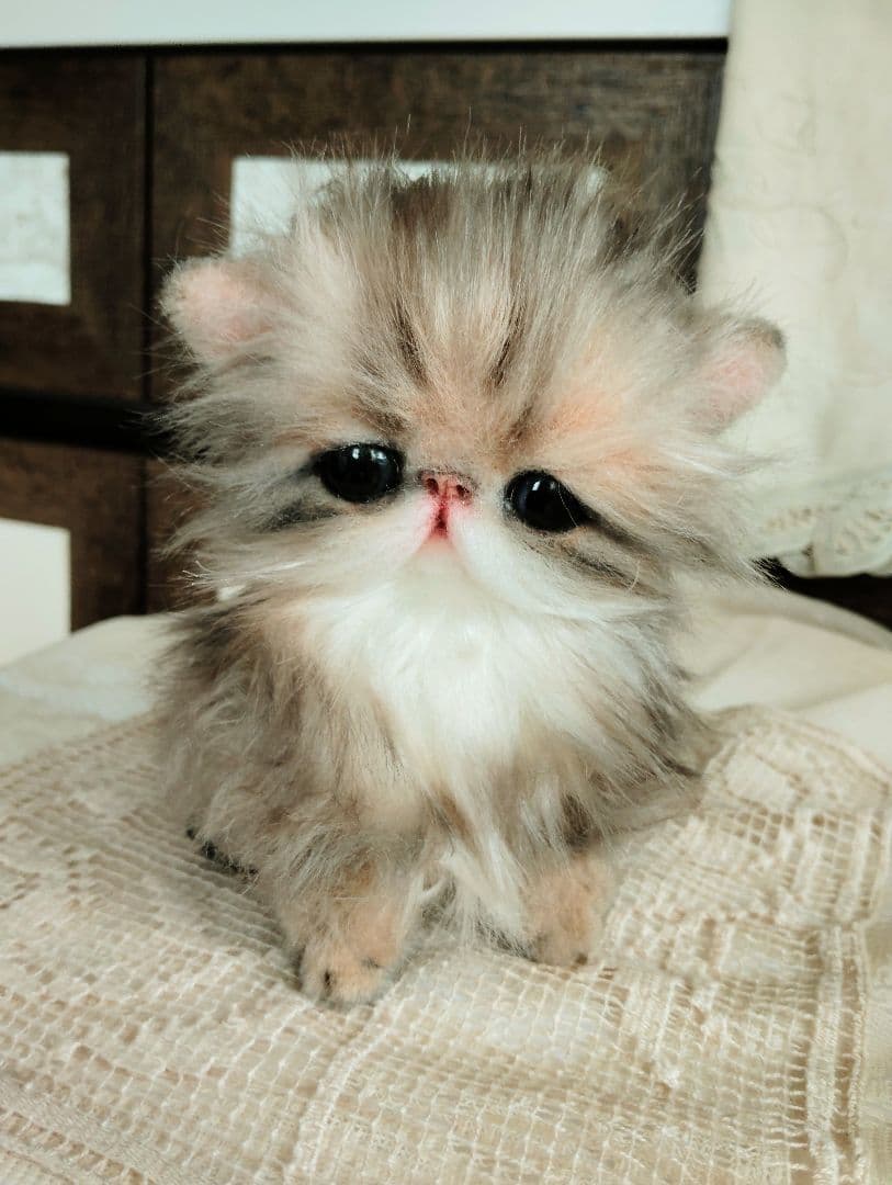 エキゾチックロングヘア♡子猫のプニちゃん♡アートドール♡ぬいぐるみ♡