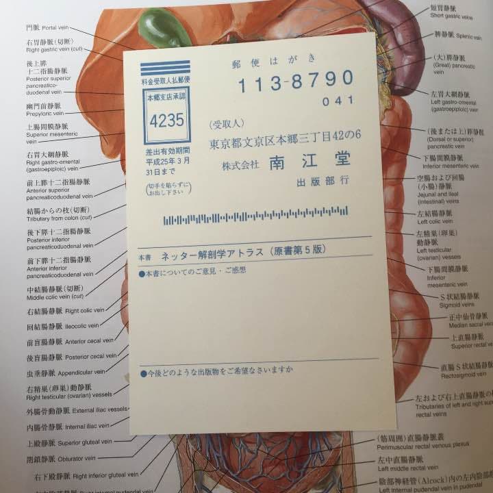 ネッター 解剖アトラス 改定5版