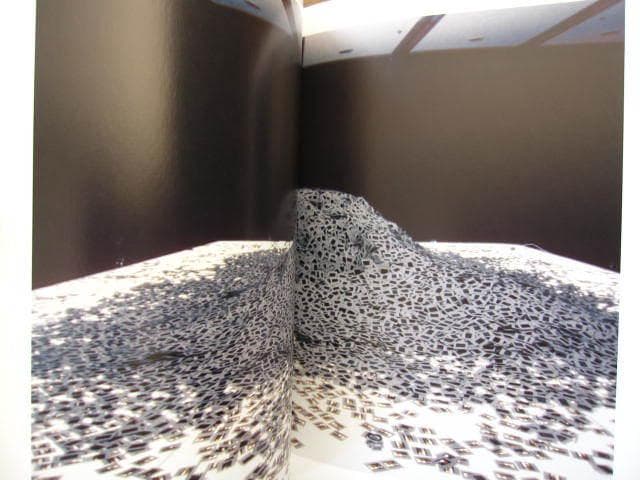 Dobrila Denegri　Alfredo Jaar : アルフレド・ジャー