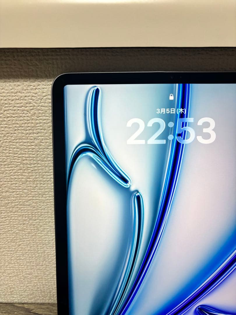 Apple iPad Pro 11 第2世代　128GB 93% ケース付き