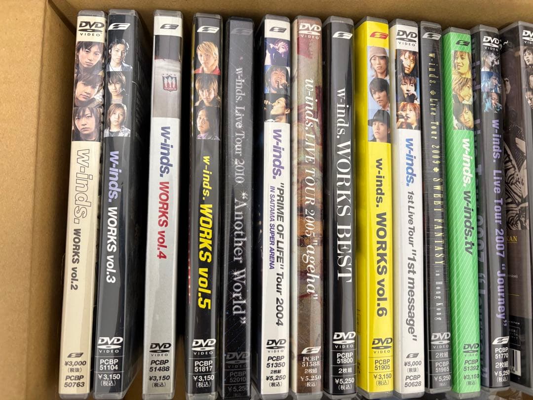 w-inds. DVDコレクション 20本（8万円相当）