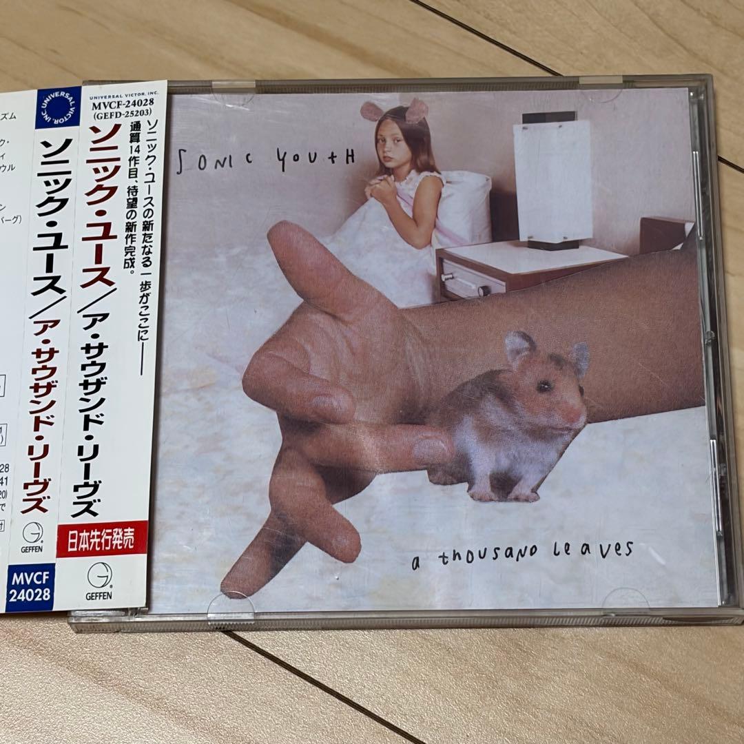 Sonic Youth / 国内盤アルバム８枚セット