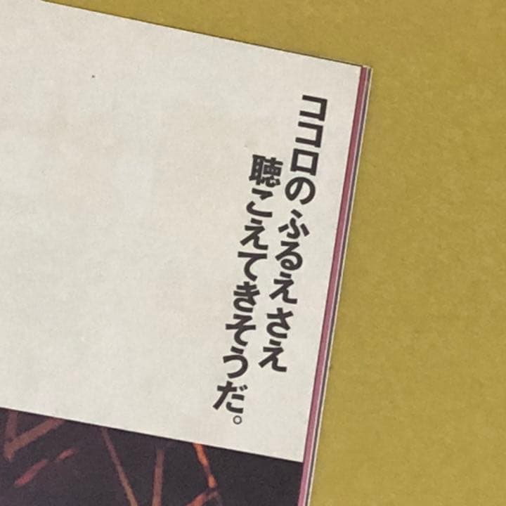 森川美穂　大阪芸術大学教授　演劇学科　ポピュラー音楽　歌手　女優　写真集