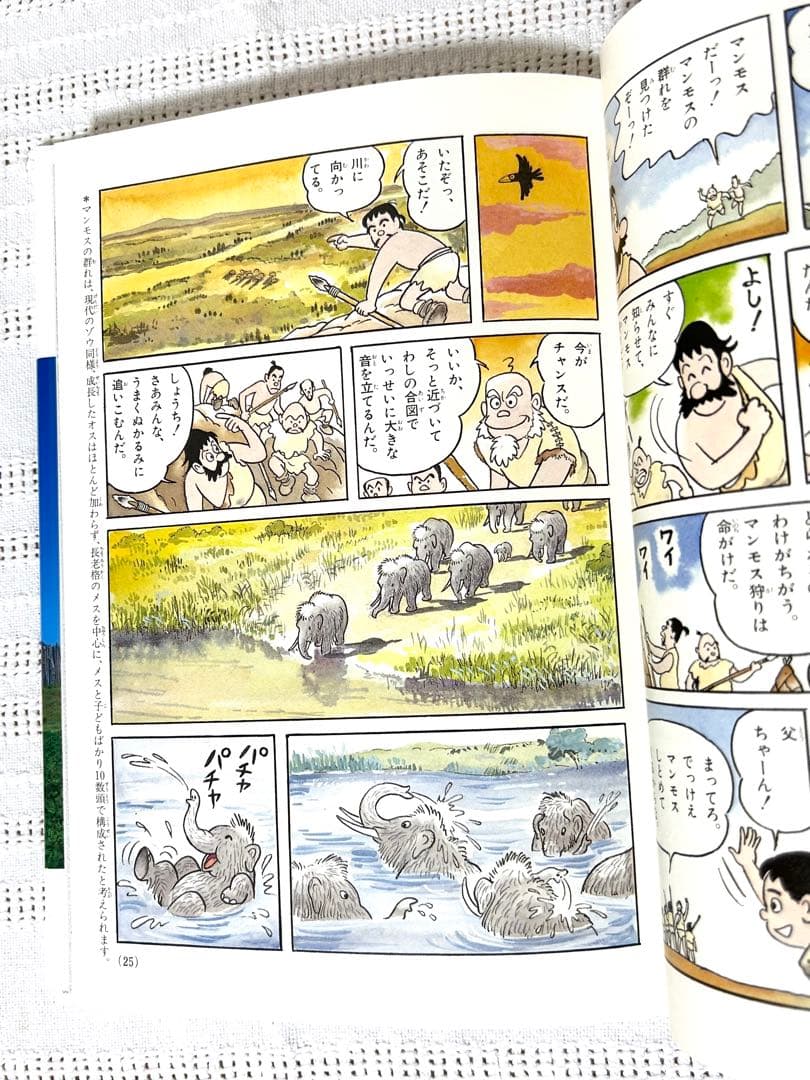 【美品】日本の歴史 23冊全巻セット　学習まんが　日本の歴史年表付　箱付き