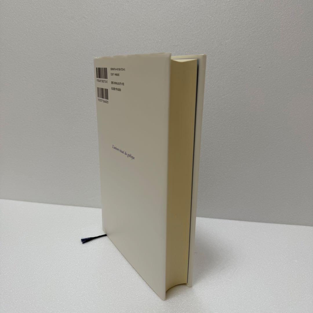 ゴシックの視覚宇宙 木俣元著