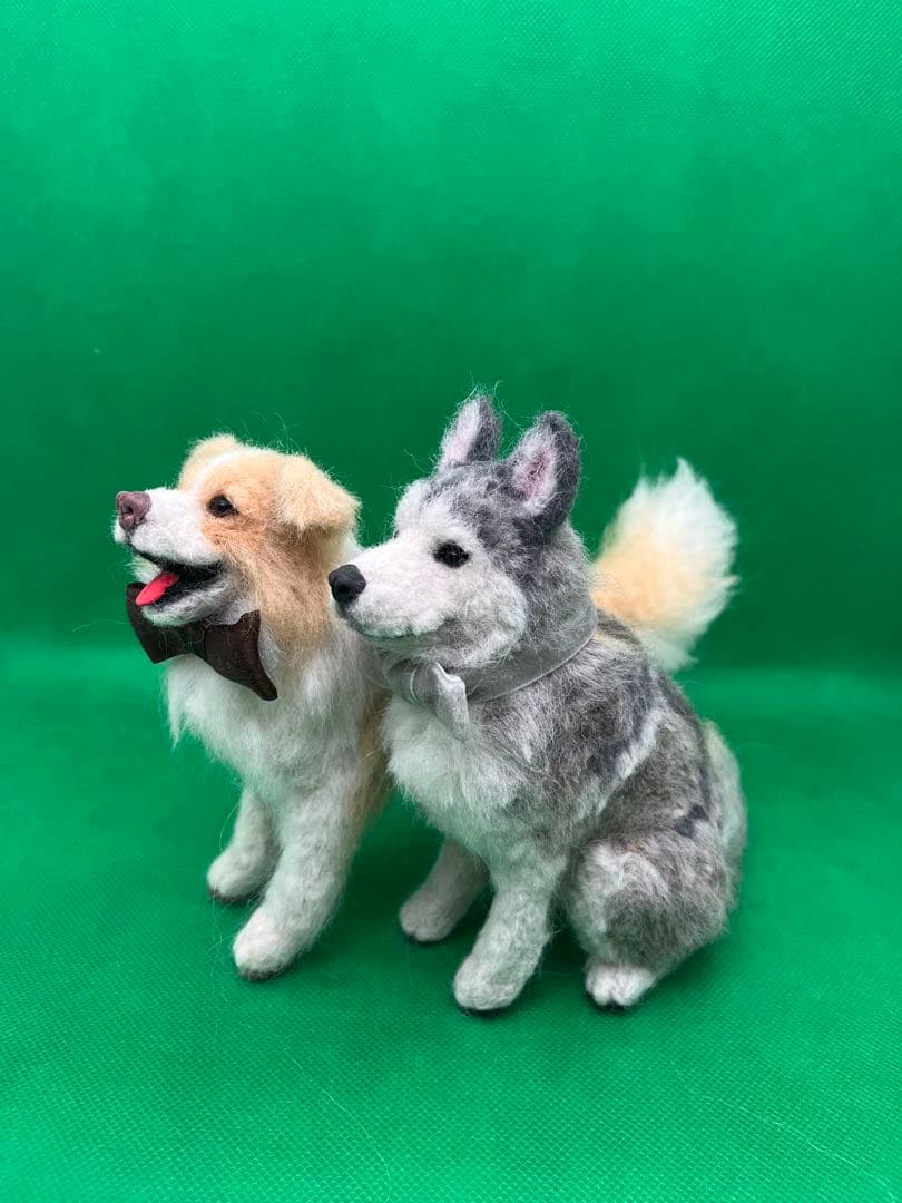 V様　オーダーページ　羊毛フェルト　シベリアンハスキー　ボーダーコリー　Sサイズ