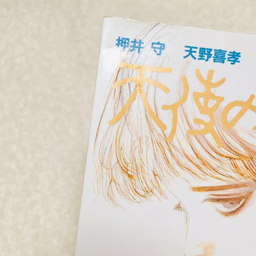 天使のたまご アニメージュ文庫 天野喜孝 押井守