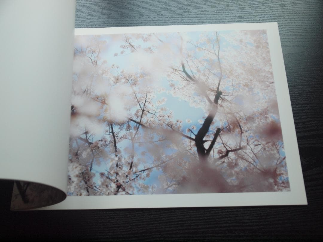 鈴木理策　桜　Yoshii Gallery　大判　サイン入り