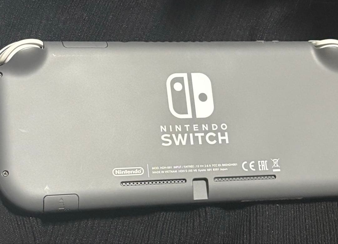 Nintendo Switch Lite グレー　専用ケース付き