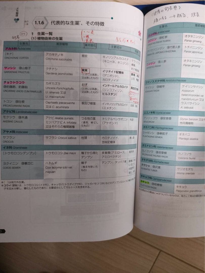 110回国試 青本青問フルセット＋模試解説書