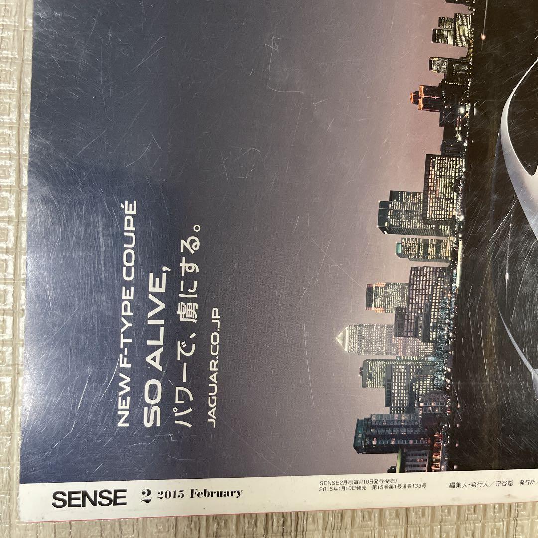 絶版！ SENSE 2015年 2月 SOPHNET ベルルッティvisvim