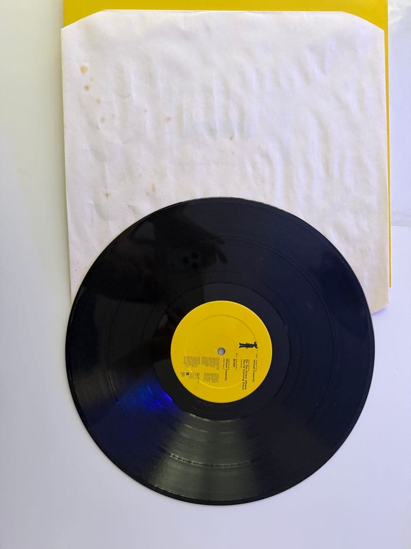 Jamiroquai Virtual Insanity レコード