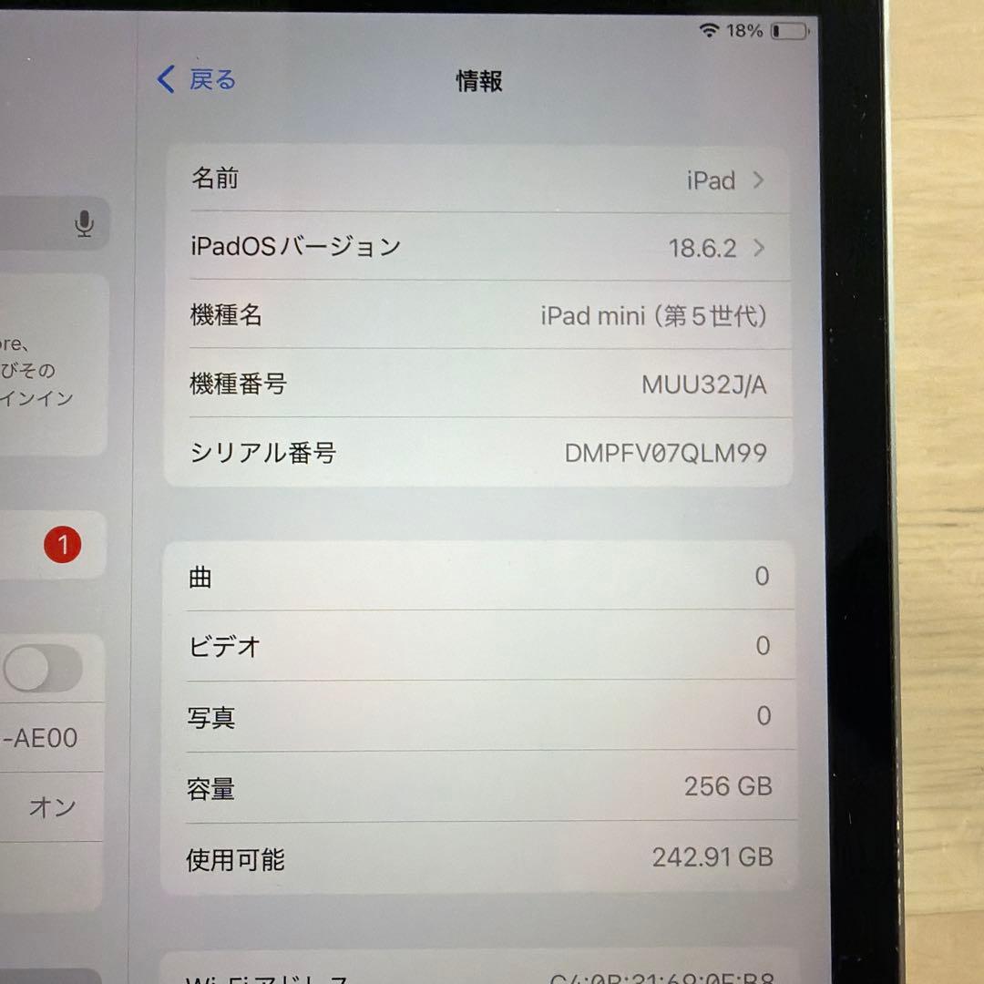 Apple iPad mini 5 256GB スペースグレー