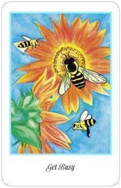 【正規品オラクルカード】入手困難な海外デッキ✨動物たちから高い直感を得るオラクル