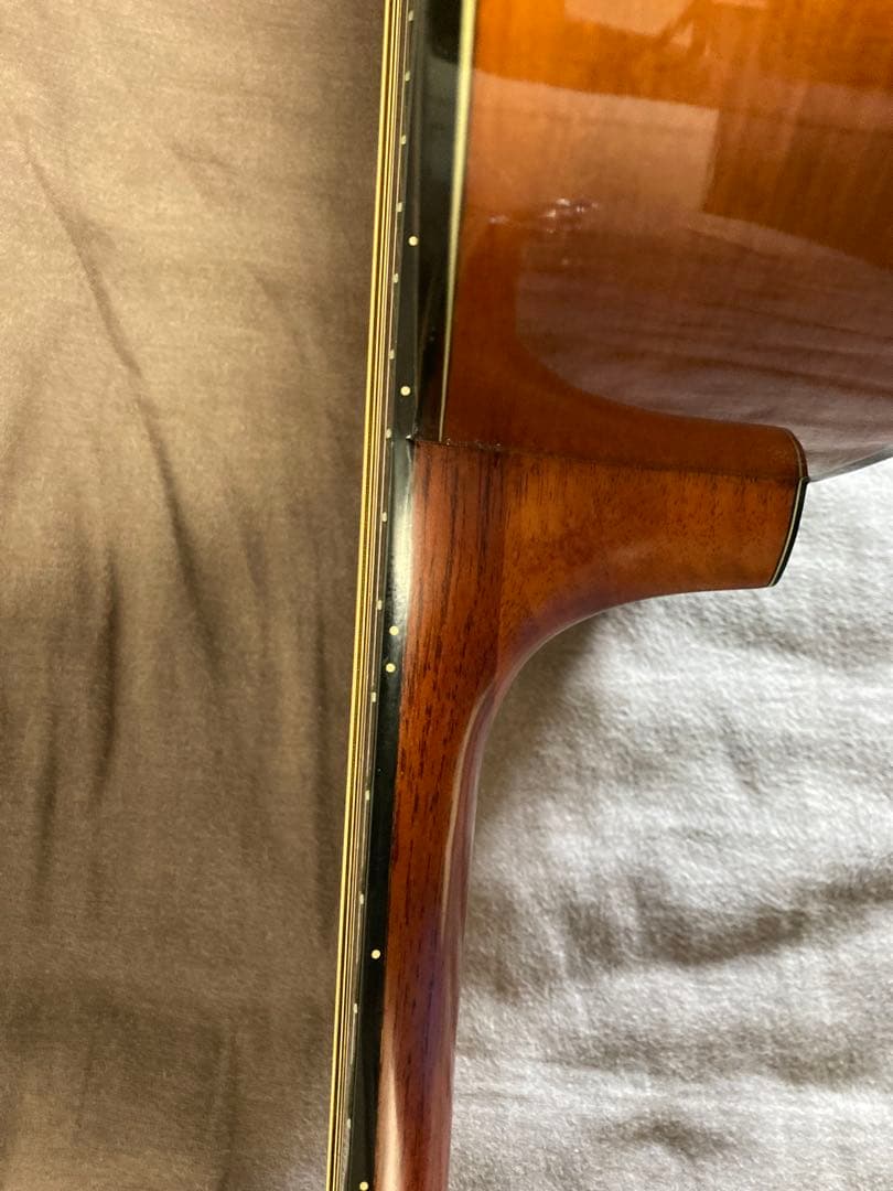 【Morris F-01 改良　エレアコ】
