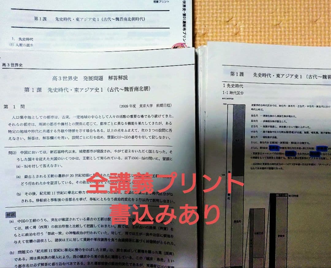 鉄緑会2025 世界史 練習問題集 未使用美品&講義ノート＋講義プリント等