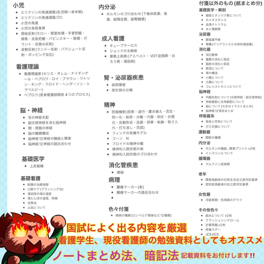 激安‼️ 看護師国家試験まとめノート 国試 解剖生理学 看護学生