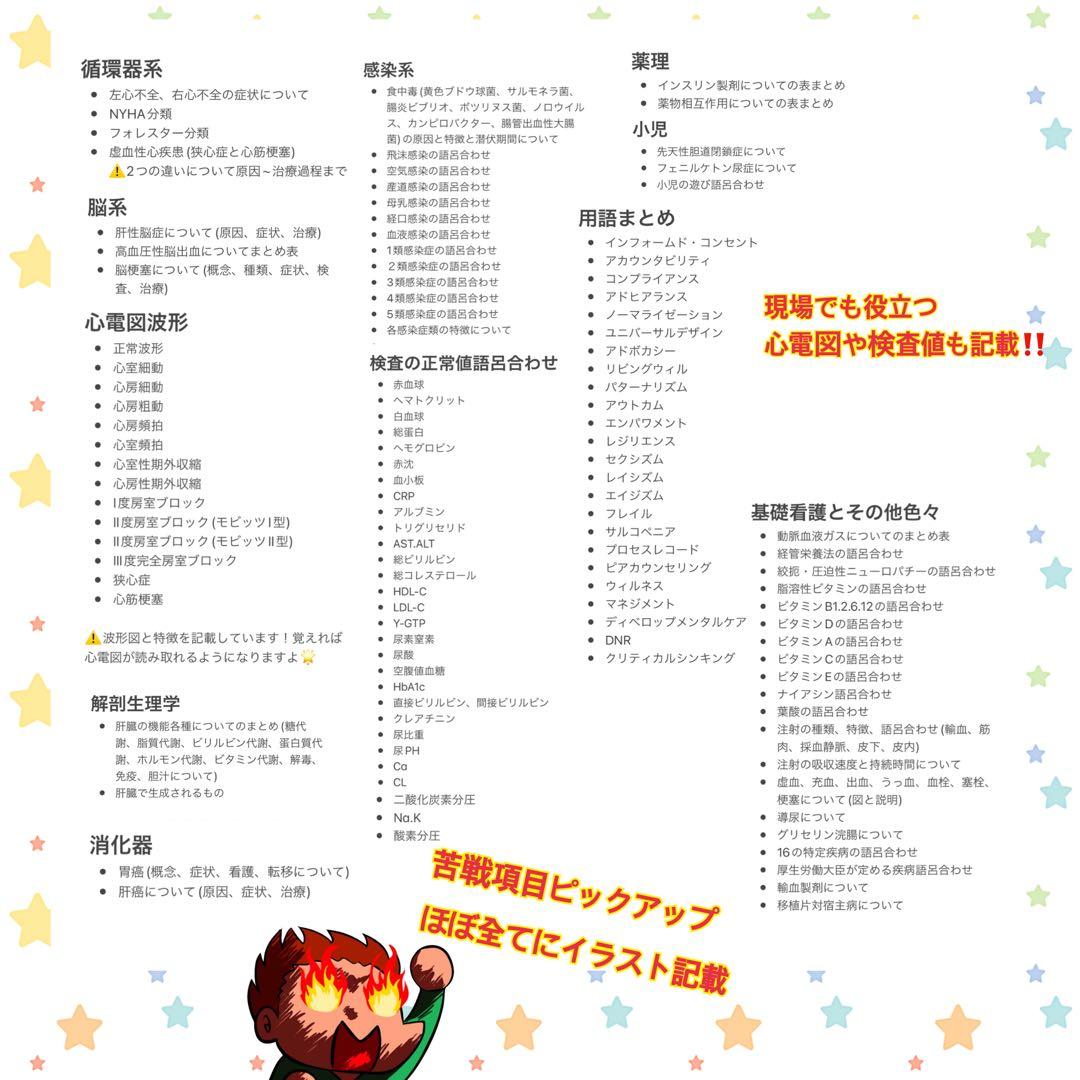激安‼️ 看護師国家試験まとめノート 国試 解剖生理学 看護学生