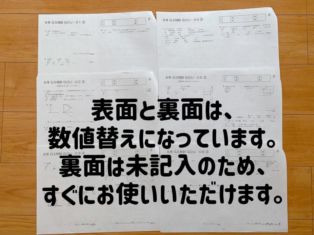 【小6・桜蔭コース】算数2024年度サピックスゴールデンウィークGS特訓